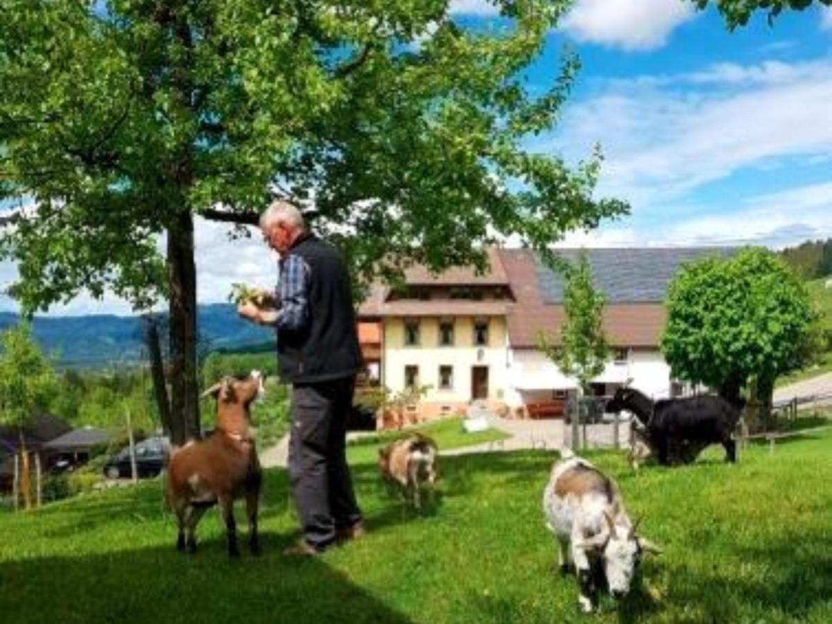Ferienwohnungen Maierhof Oberried Oberried  Exterior photo